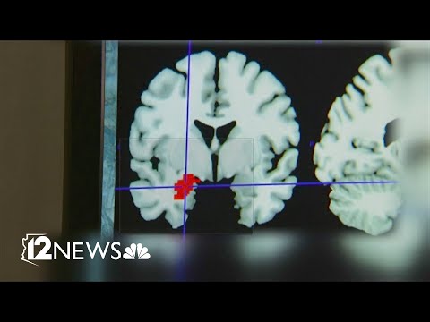 Arizona bill focused on medicinal mushroom therapy