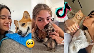 Kiss Your Pet On The Head And See Their Reaction | TikTok Compilation