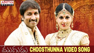 Choosthunna Song - Mogudu Video Songs - Gopichand 