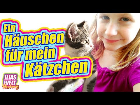 ILIAS WELT HISTORY - Ein Häuschen für mein Kätzchen