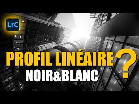 Linear profile and black & white in Lightroom: I've found a solution! ... also for Sonoma!