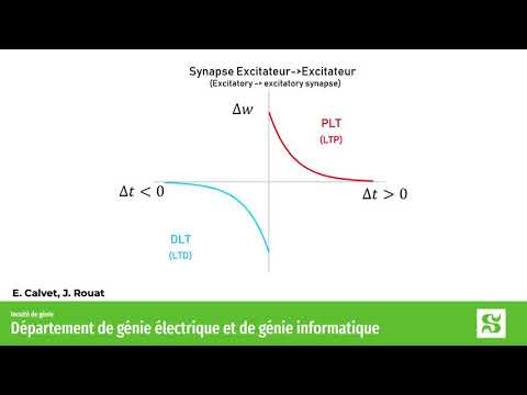 Learning with Spike Timing Dependent Plasticity -STDP- Plasticité dépendante des temps de décharges