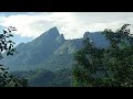 TRIBALS SONGS IRULAR ATTAPPADI THERKUMALAI KALL URUTI ഗോത്രഗാനം അട്ടപ്