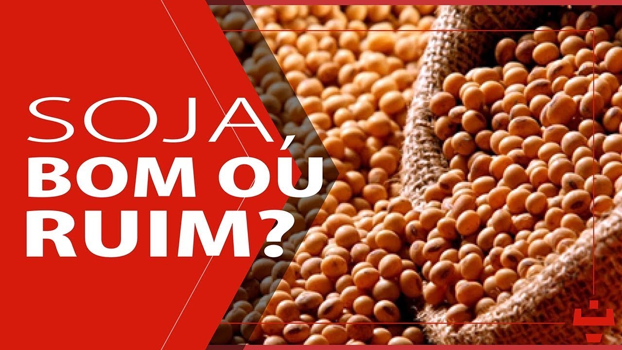 BENEFÍCIOS DA SOJA