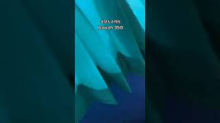 Download lagu cw jaman sekarang hadeuh #michat mp3 Download lagu cw jaman sekarang hadeuh #michat mp3