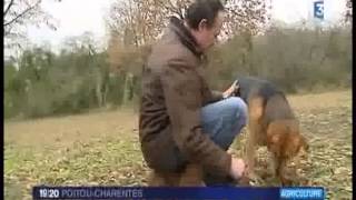 preview picture of video 'La  récolte des truffes à Ternay (86) - Nord Vienne'