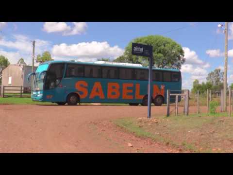 Las Flores - Salto
