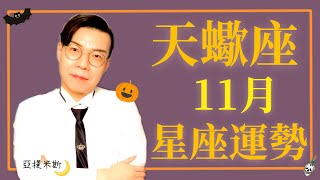 [情報] 亞提米斯 11月12星座運勢超完整解析