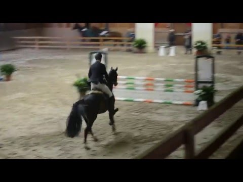 Quite Carenzo (Quite Rubin x Carenzo)