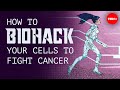 How to biohack your cells to fight cancer - Greg Foot