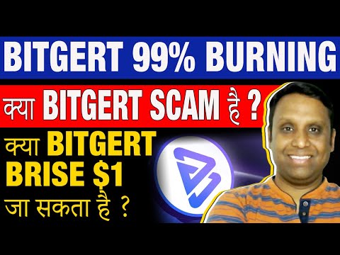 Bitgert Brise 99% Burning | Bitgert Brise Price Prediction after Burning | Bitgert  Scam or Real