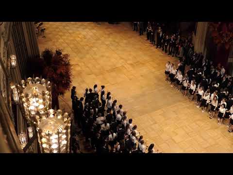 Wiener Opernball 2019, Generalprobe, Einzug der Debütanten III