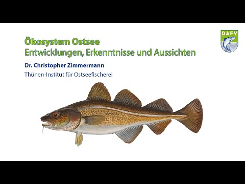 Ökosystem Ostsee - Entwicklungen, Erkenntnisse und Aussichten | Dr. Christopher Zimmermann