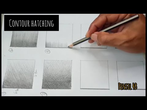 Tutorial 8 Teknik Arsir menggunakan pensil (Teknik 4 : Contour Hatching)