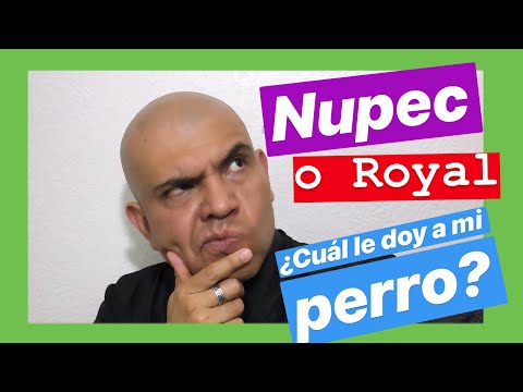 Which is the best dog food in Mexico, Royal Canin or Nupec?