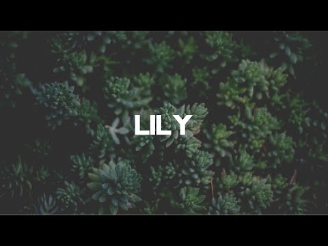 Alan Walker - Lily Ft. K-391 &  Emelie Hollow (8D Music + Lyric Video)