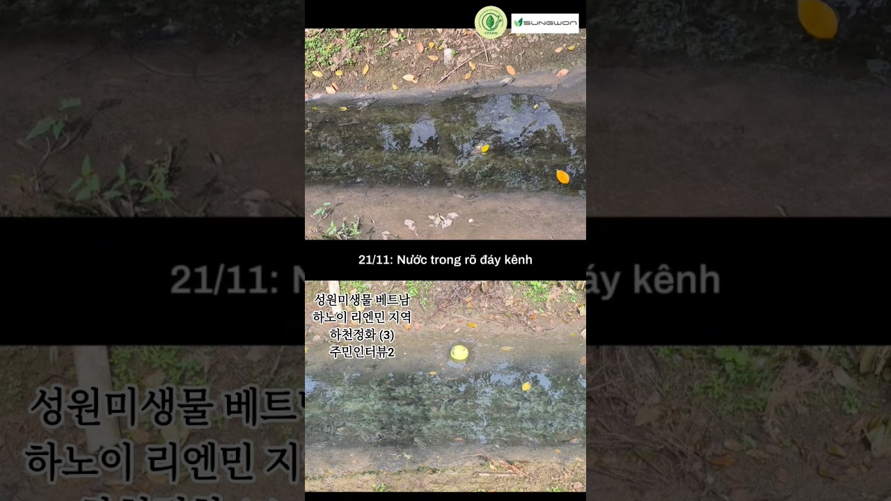 성원미생물 베트남 하노이 리엔민 지역 하천정화(3) 주민인터뷰2  #성원미생물 #베트남 #수질정화