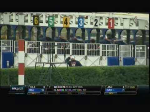 Thoroughbred Racing   Woodbine Mile 2013 Wise Dan