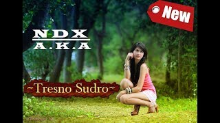 Download lagu Ndx - Tresno Sudro (New) mp3