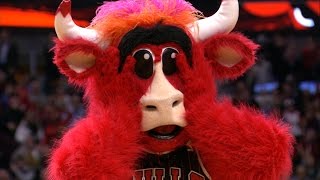 Benny The Bull: Top 5 Moments