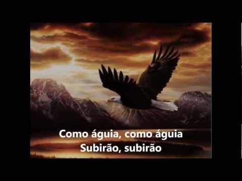 Se renovarão