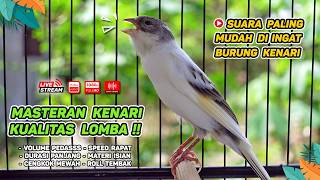 Download lagu Kenari GACOR NGEREK‼️ Masteran Kenari PAUD dan Pancingan Kenari MACET BUNYI dan Betina NGIWIR - 368 mp3 Download lagu Kenari GACOR NGEREK‼️ Masteran Kenari PAUD dan Pancingan Kenari MACET BUNYI dan Betina NGIWIR - 368 mp3