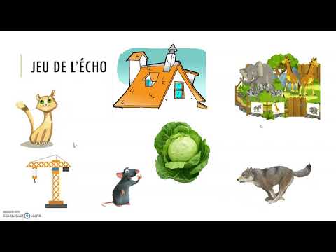 Le jeu de l'écho MS