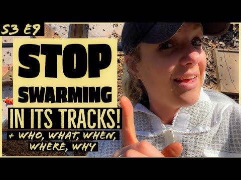 5 Tricks To PREVENT Your Bees From SWARMING / Beekeeping 101 #beekeeping