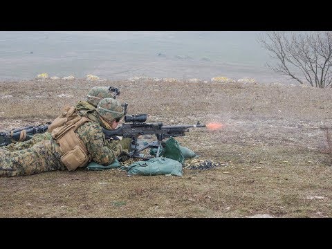 Exercițiul multinațional PLATINUM EAGLE 18.1