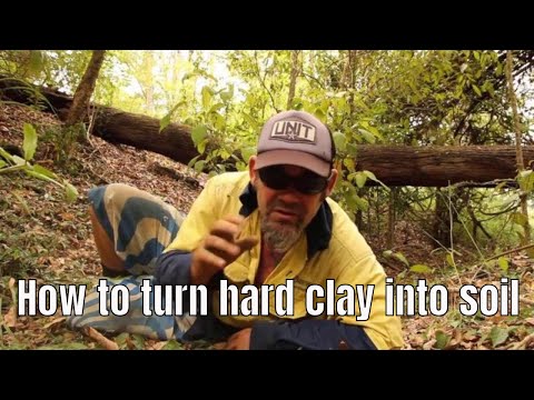 download lagu mp3 mp4 Turning Clay Into Good Soil, download lagu Turning Clay Into Good Soil gratis, unduh video klip Turning Clay Into Good Soil