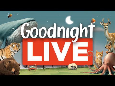 Relaxing Stories for Naps & Bedtime: Your Child's Favourite Soothing Series Live