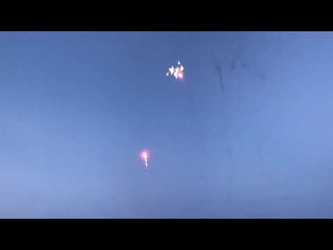 Fish Frenzy 200g cake - Snake Bite Fireworks (x2)