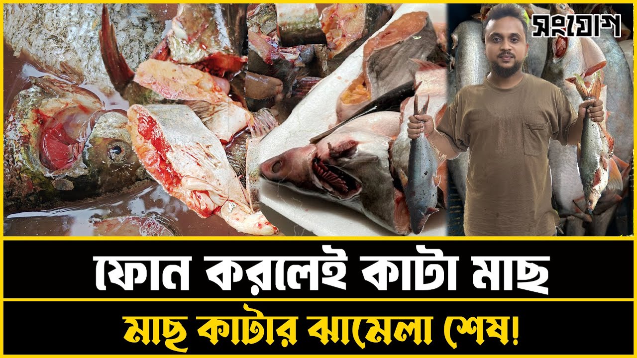 বিশ্বাস করবেন না! ফোন করলেই বাসায় কাটা টাটকা মাছ!