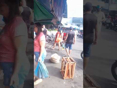 #Feira do produtor Manaus: tucumã Para fazer X cabloquinho tapioca com ovo tucumã queijo qualho 😋