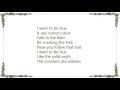 Jason Molina - Red Comet Dust Lyrics