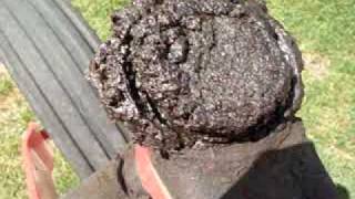 A Look At The Ford 200-6 Engine In The 400 Versatile Swather