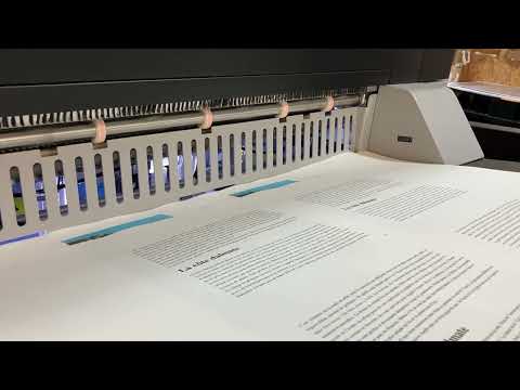 Impression " Se faire la belle"