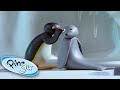 Pingu Robby Seal On A Fun Adventure Pingu