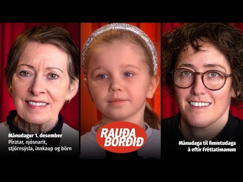 Píratar, njósnarit, stjórnsýsla, innkaup og börn