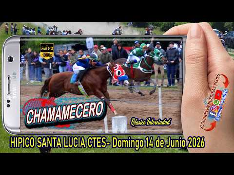 CHAMAMECERO-Clasico- Hipico Santa Lucia Ctes- Domingo 14 de junio 2026..