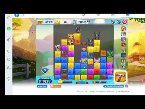 Pet Rescue level 6246, pet rescue, nivel 6246 pet rescue solucionado, solved, sin booster 6246, 6246