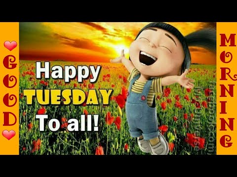 Happy Tuesday Morning, Tuesday Morning Wishes,Greetings, Tuesday Morning WhatsApp status Video