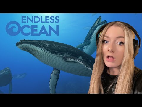 Das BESTE Wii Spiel, versprochen!🐋 01: Endless Ocean 2
