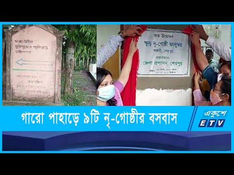 সীমান্তজুড়ে নয়নাভিরাম গারো পাহাড়