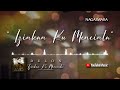 Delon Thamrin - Izinkan Ku Mencinta (Video Lirik 2)
