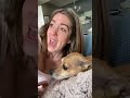Dog's Hilarious Interruption of Mom's Singing Has People Cracking Up