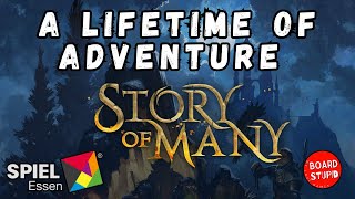 Board Stupid - Story of Many video thumbnail