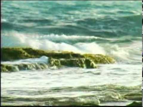 download lagu mp3 mp4 Te Lo Pido Seor Tito Rojas Letra, download lagu Te Lo Pido Seor Tito Rojas Letra gratis, unduh video klip Te Lo Pido Seor Tito Rojas Letra