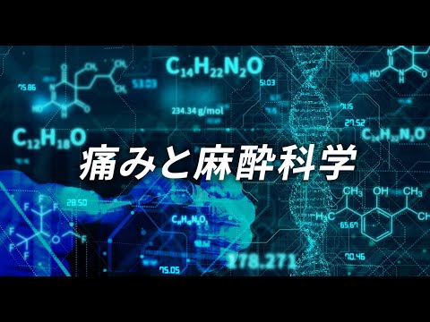 東北大学MOOC「痛みと麻酔科学｣　 講師:医学系研究科　山内正憲 教授　他
