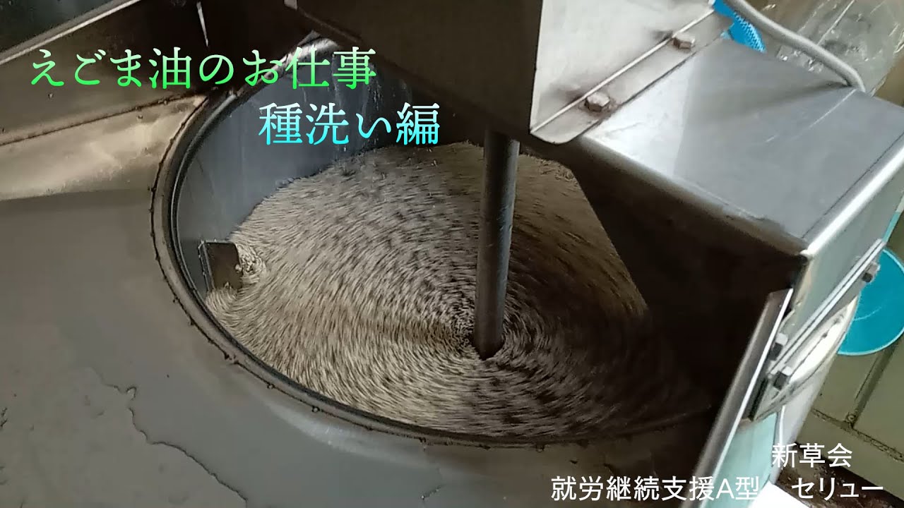 えごま油工場での作業風景